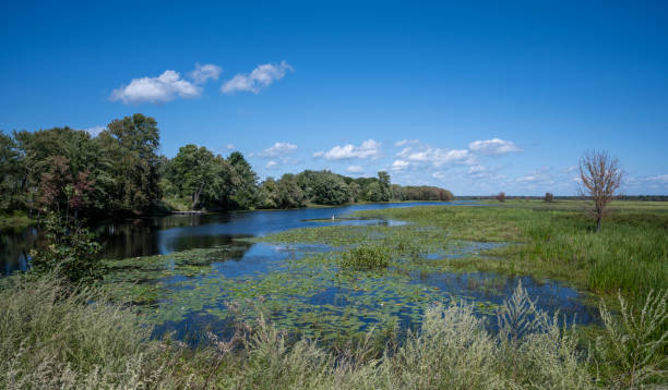 istock Small waterway and marsh in summer in Vermont 2171188146