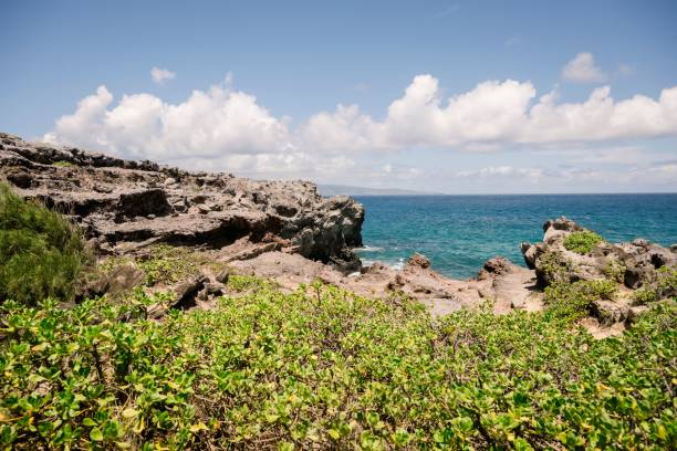 istock Scenic coastal view with rocky cliffs and lush green vegetation. 2171195958
