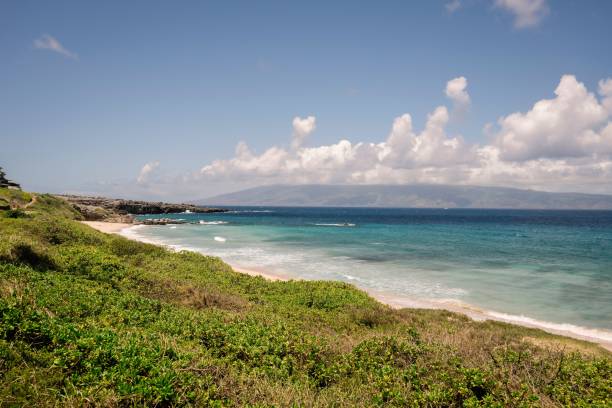 istock Pristine beach with clear blue water and lush greenery. 2171196067
