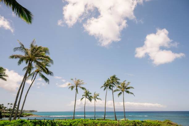 istock Tropical beach with palm trees 2171196160