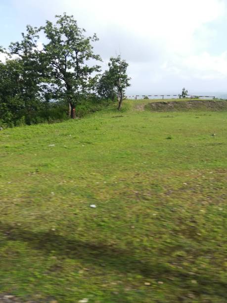 istock The green field view with grass 2171200997