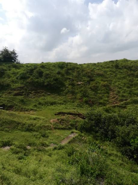 The green Mountain View with plants and bushes