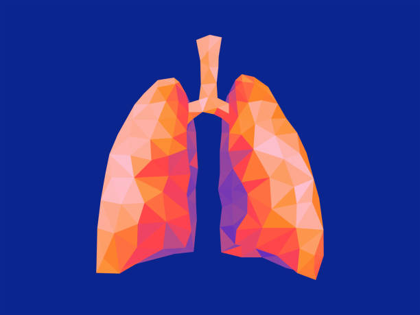 Abstract, low-poly lungs rendered in warm hues against a cool background