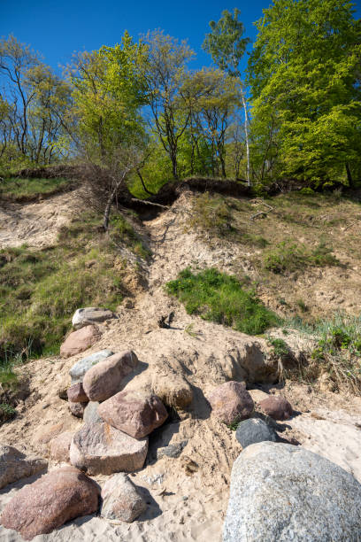 istock Rockfall at an eroded steep, sandy hillside with rocks at the base and trees at the top 2171205443