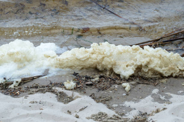 istock River bank with waves and white foam. 2171207503