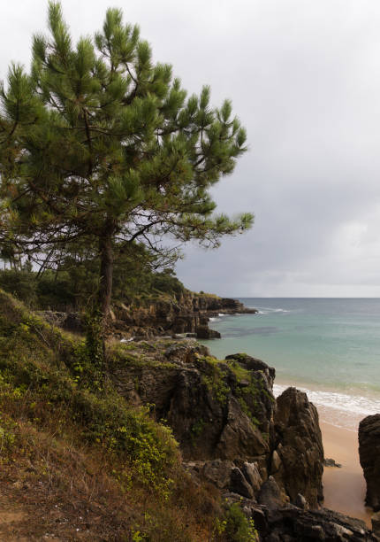 istock Cantabria, Spain, landscapes along short coastal walk 2171209955