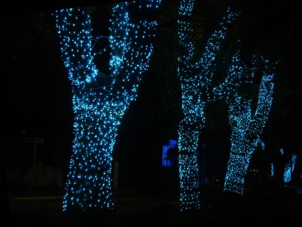 istock Trees wraped by christmans light outdoor night shot 2171210054