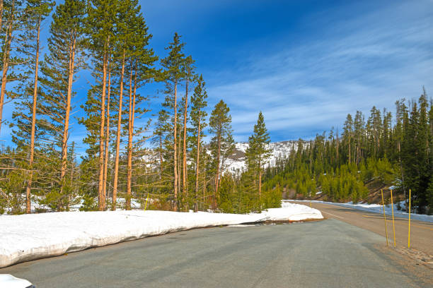 Snow Along a Mountain Road in Late Spring in Yellowstone National Pakr in Wyoming