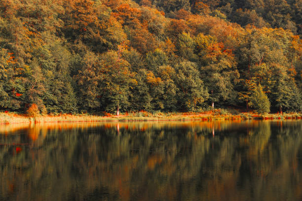 Autumn landscape Beautiful small lake and forest