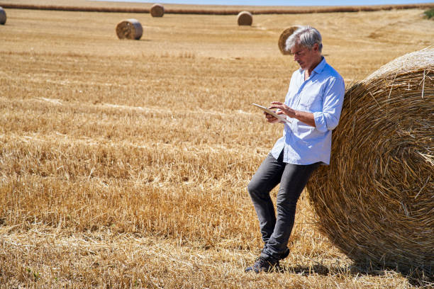 istock Agronomist working in harvested field with digital tablet 2171217089