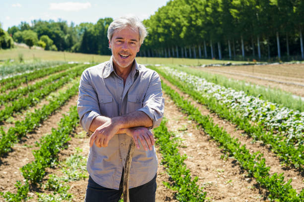 istock Mature male farmer working in his vegetable orchard 2171217090