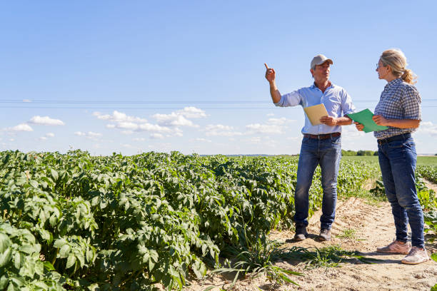 istock Precision farming expert talking with farmer assessing field quality 2171217184