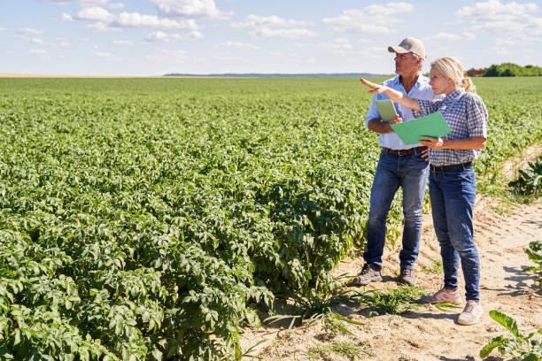 istock Precision farming expert and farmer evaluating crop in agricultural field 2171217204