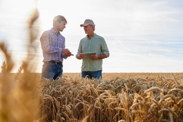 istock Agronomist giving technical advice to farmer while standing in cultivated field 2171217212