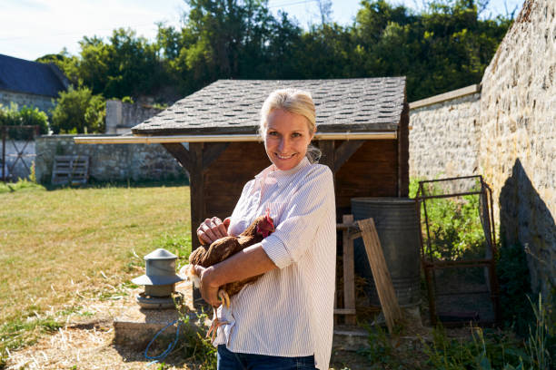Mid-shot portrait of chicken farmer in her organic farm with chicken in her arms