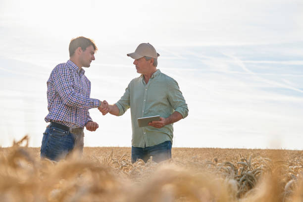 istock Agricultural advisor shaking hands with farmer after discussing crop quality and yield issues while standing in cultivated field 2171217256