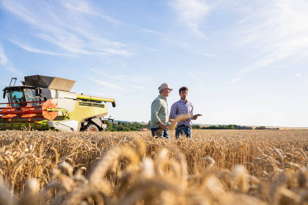 istock Two farmers standing next to harvesting machine in cultivated field analyzing data about crop quality and yield 2171217259