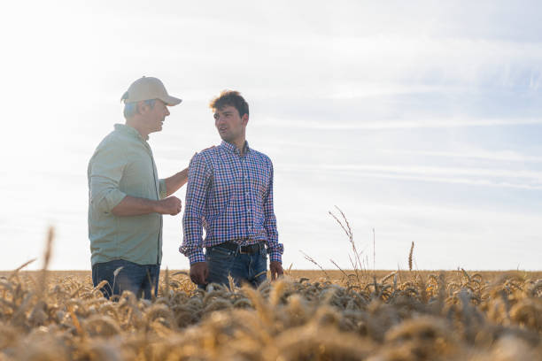 istock Farmer and son discussing crop issues while standing in wheat field after long work day 2171217277