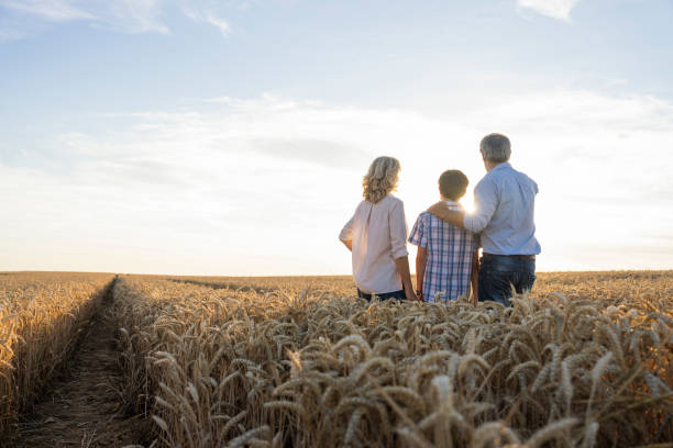 istock Farmer with wife and son facing the setting sun while standing in cultivated wheat field 2171217312
