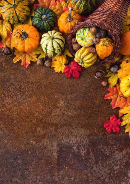 Autumn or Thanksgiving decoration Autumn or Thanksgiving decoration