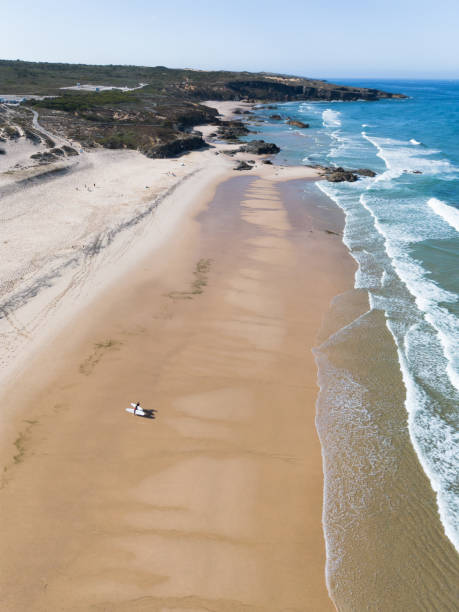 istock Two surfers on the beach shore aerial view 2171226561