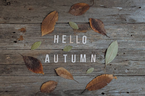 istock A phrase from the letters hello autumn and leaves on the table. 2171233149