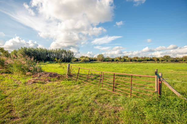istock Sagging and rusty iron gate between two wooden beams 2171235701