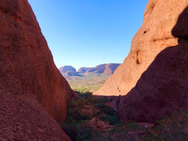 A Desert Scape Landscape with Mountainous Backdrop