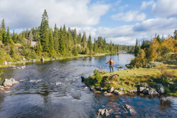 istock Lonely hiker man dressed bright orange jacket enjoying Norwegian Nature. He standing with trekking poles on lake bank with pine trees in South Norway. Active people and Nature concept 2171238213