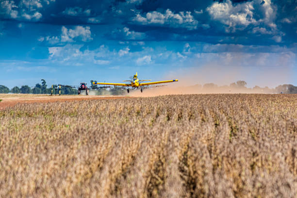 Agricultural plane in low flight. Lucas do Rio Verde, Mato Grosso, Brazil.