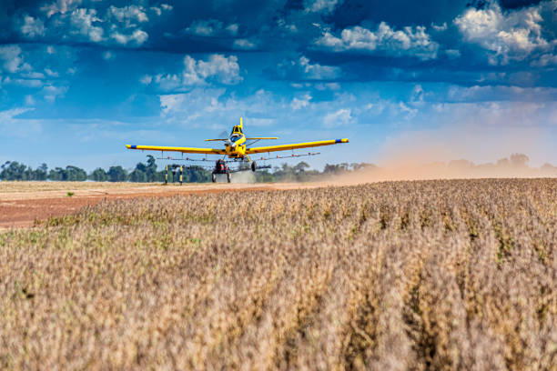 Agricultural plane flying over fields in the Ebro Delta while spraying against insects, image of rural work and pest control.