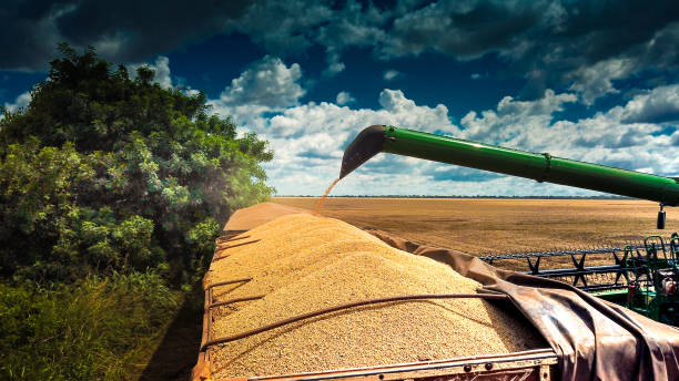 Evolução Produção de Soja no Brasil: Cresceu 665% desde 1990.