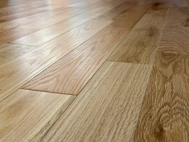 istock Red Oak Hardwood Flooring 2171240992