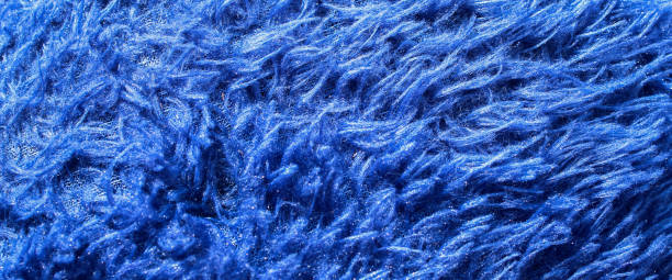 istock blue texture fur carpet mattress floor.  fluff on the blue carpet 2171245664