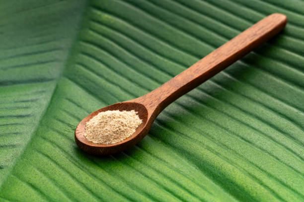 Maca root or Peruvian ginseng in the spoon - Lepidium meyenii Peruvian organic maca powder - Lepidium meyenii in the spoon pachyrhizus erosus stock pictures, royalty-free photos & images