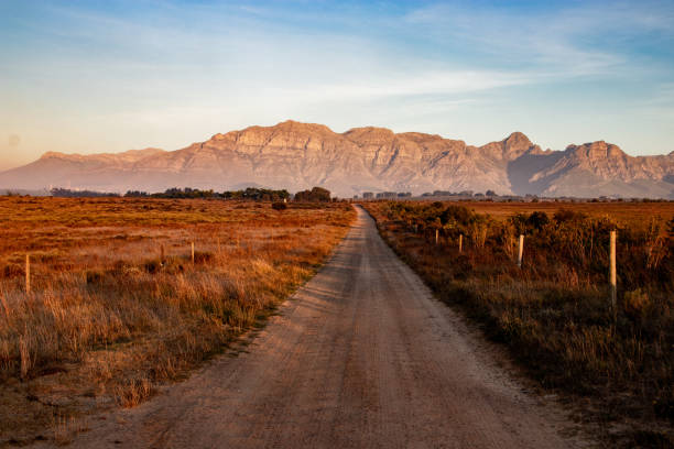 istock South Africa’s vineyard 2171247788