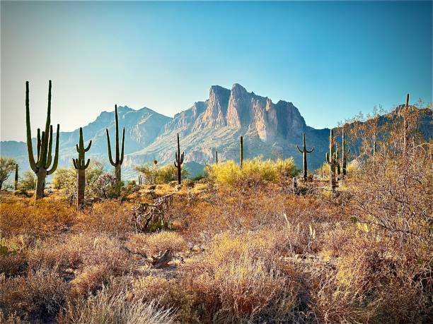 istock Gold Canyon Arizona 2171248172