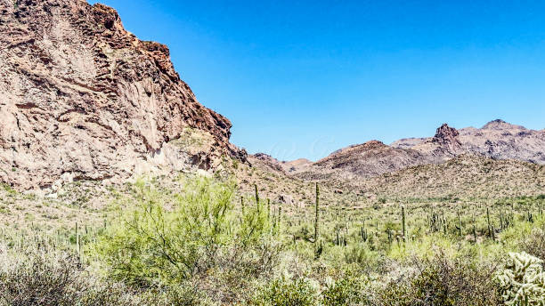 istock Gold Canyon Arizona 2171248318