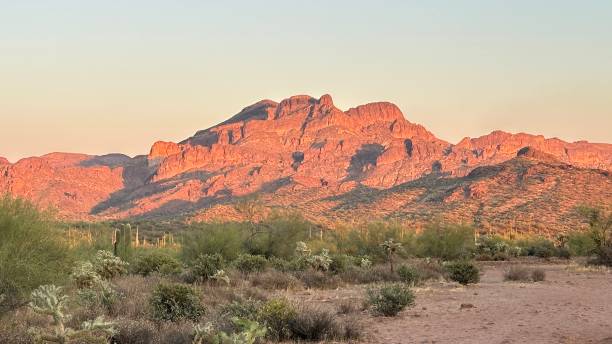istock Gold Canyon Arizona 2171248538