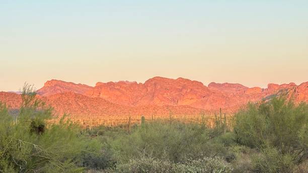 istock Gold Canyon Arizona 2171248561