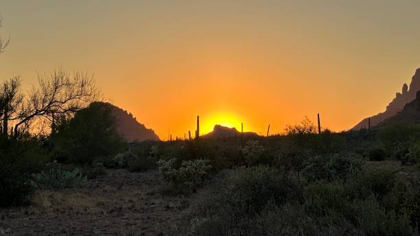 istock Gold Canyon Arizona 2171248569