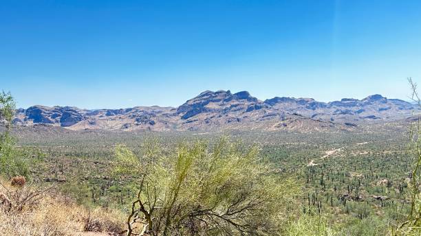 istock Gold Canyon Arizona 2171248732