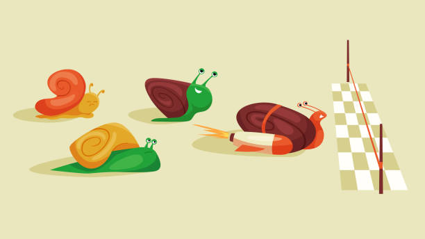 Snail Racing Background 190+ Snail Racing Stock Illustrations, Royalty-Free Vector Graphics ...
