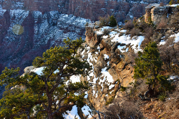 Grand Canyon South Rim at Sunrise and Golden Hour