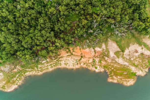 istock Aerial view Tropical Rainforest trees mountains,Top view green forest background 2171264005