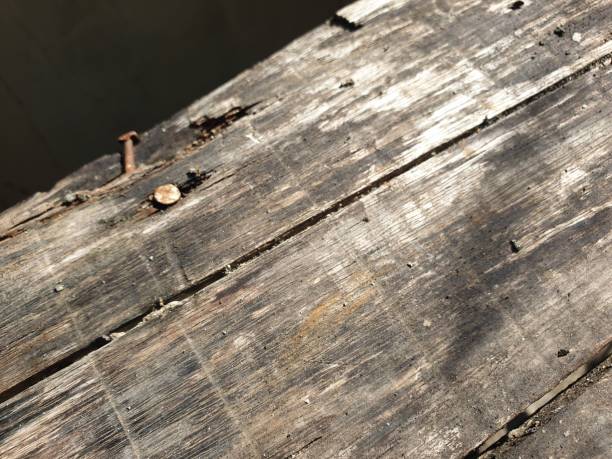 istock Weathered wood texture. Old moldy wood. Suitable for background 2171264755