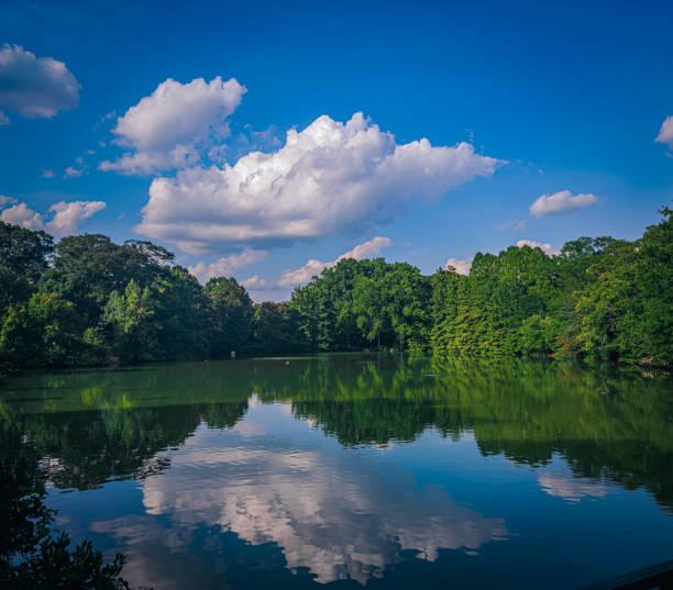What was originally a pond was expanded in the early 1890s to create Lake Clara Meer for the Cotton States and International Exposition in 1895. From its modest beginning, it grew to an honorable 11.5 acre lake located in Atlanta Georgia's Piedmont Park