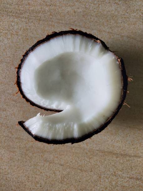 Cracked coconut with coconut shell captured in macro view