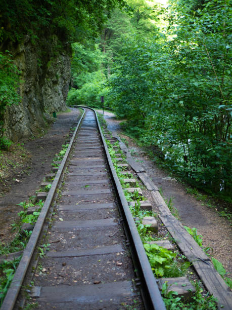 istock Old railway in an old mountain forest. 2171268479