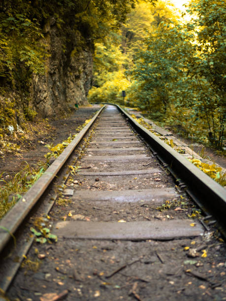 istock Old railway in an old mountain forest. 2171268498